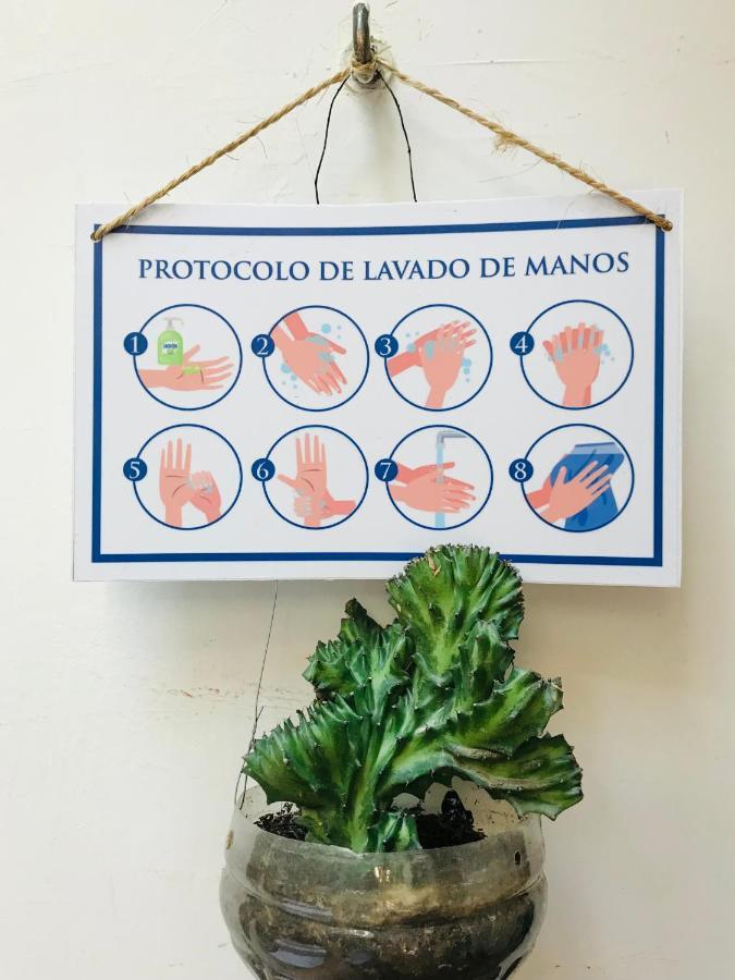 Casa Mama Waldy Hostel Cartagena Eksteriør billede